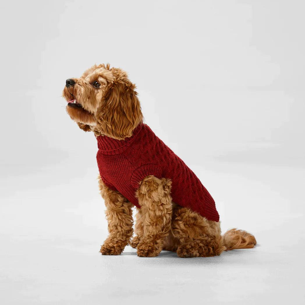 Snooza Wear – RPET Knit Polo – Red-Large-Warm-Eco Friendly Dog Apparel Snooza