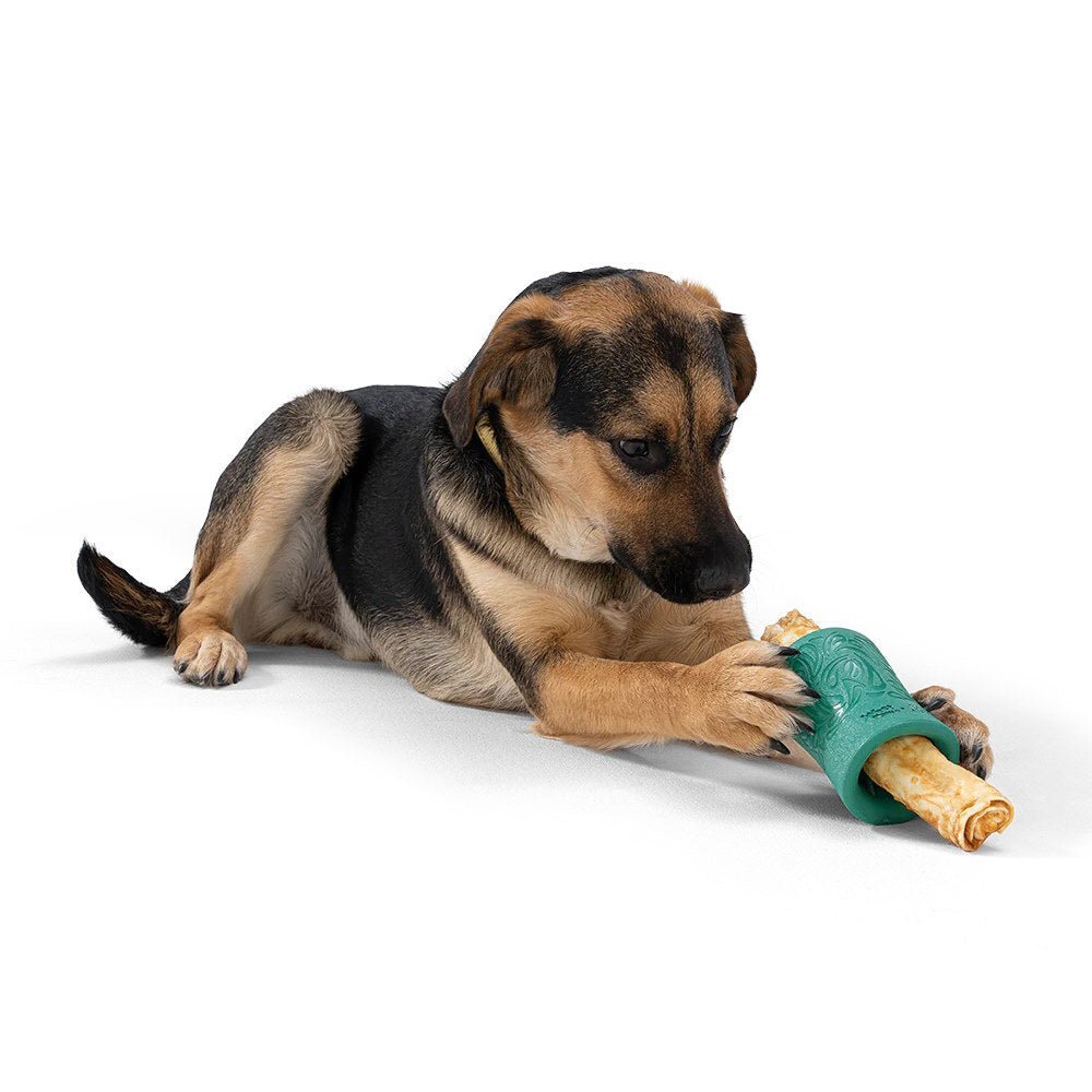 West Paw Funnl Dog Treat & Chew Hiding Toy for Moderate Chewers Treat Holder West Paw Design