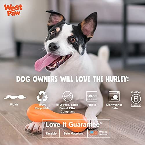 West Paw Hurley Fetch Toy for Tough Dogs - Ruby Red Dog toys West Paw Design