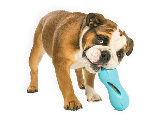 West Paw Qwizl Treat Dispensing Dog Toy - Treat Dispensing Dog Toy Dog toys West Paw Design Blue Small