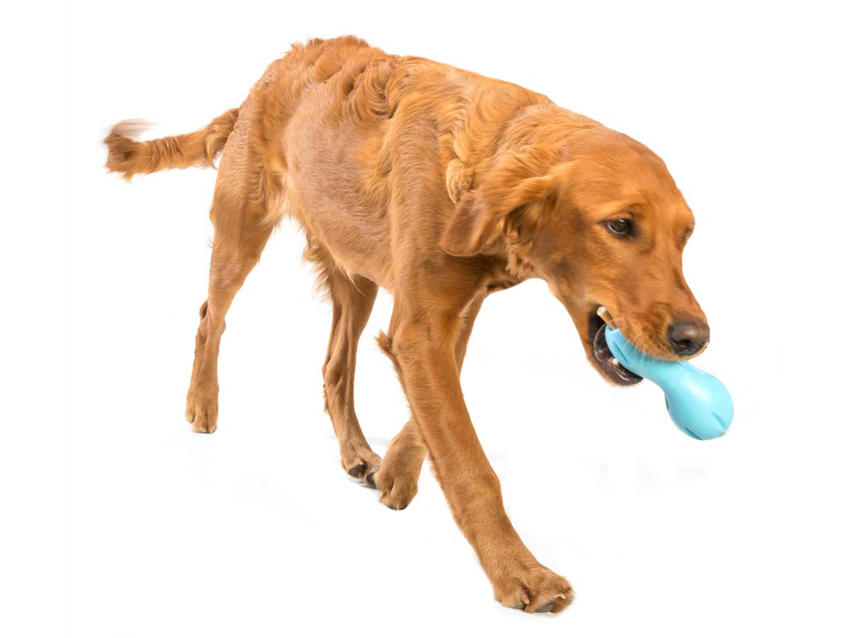 West Paw Qwizl Treat Dispensing Dog Toy - Treat Dispensing Dog Toy Dog toys West Paw Design