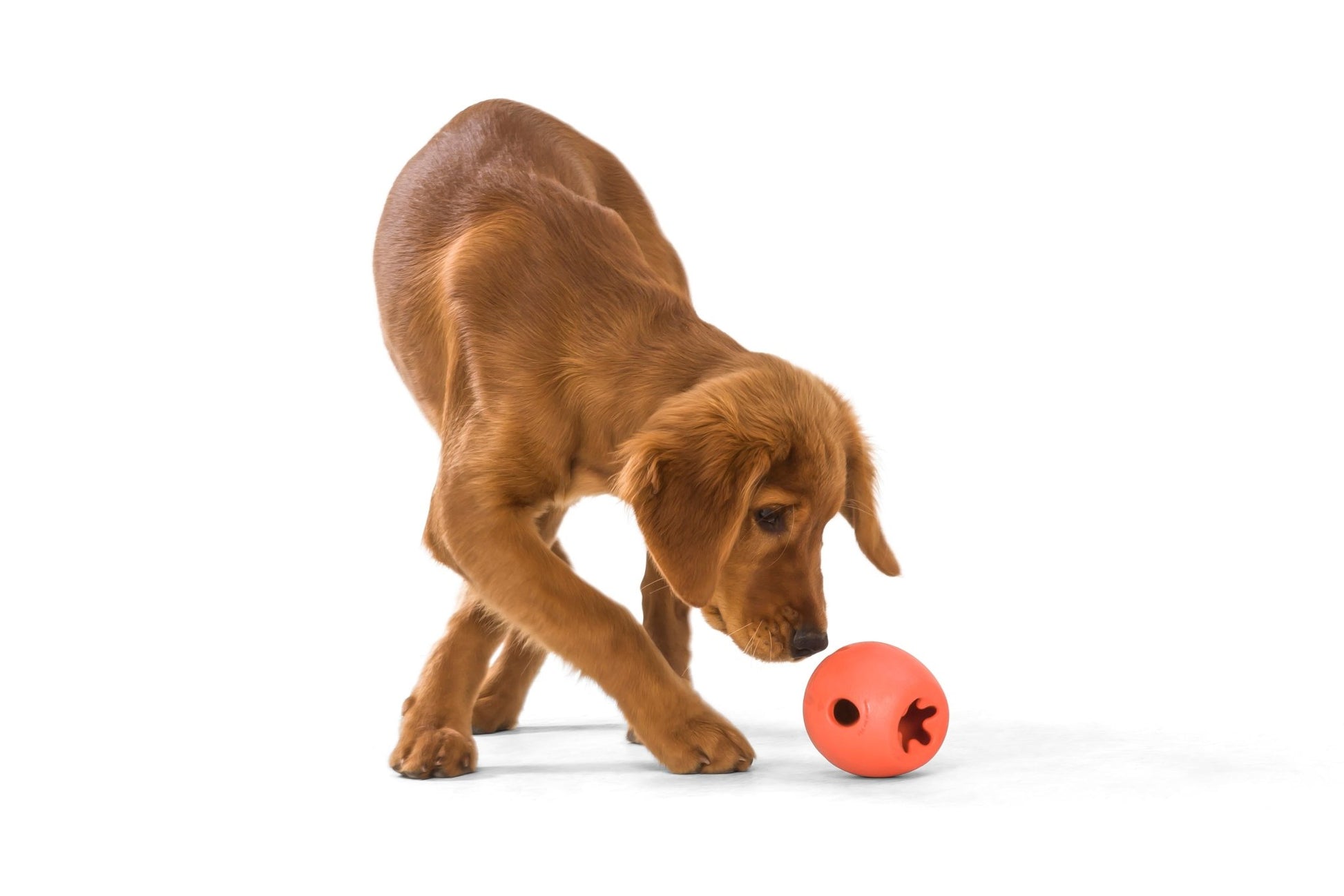 West Paw Rumbl Treat Dispensing Dog Toy Dog toys West Paw Design Melon Small