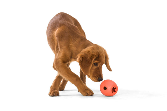 West Paw Rumbl Treat Dispensing Dog Toy Dog toys West Paw Design Melon Small