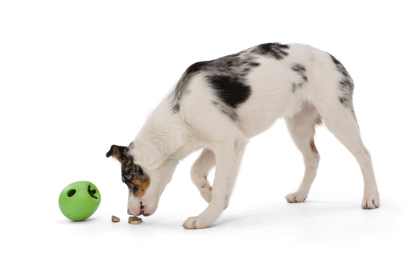 West Paw Rumbl Treat Dispensing Dog Toy Dog toys West Paw Design Jungle Green Small