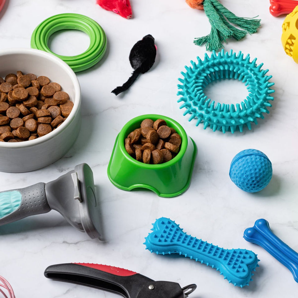 Basic Needs for your new Pet