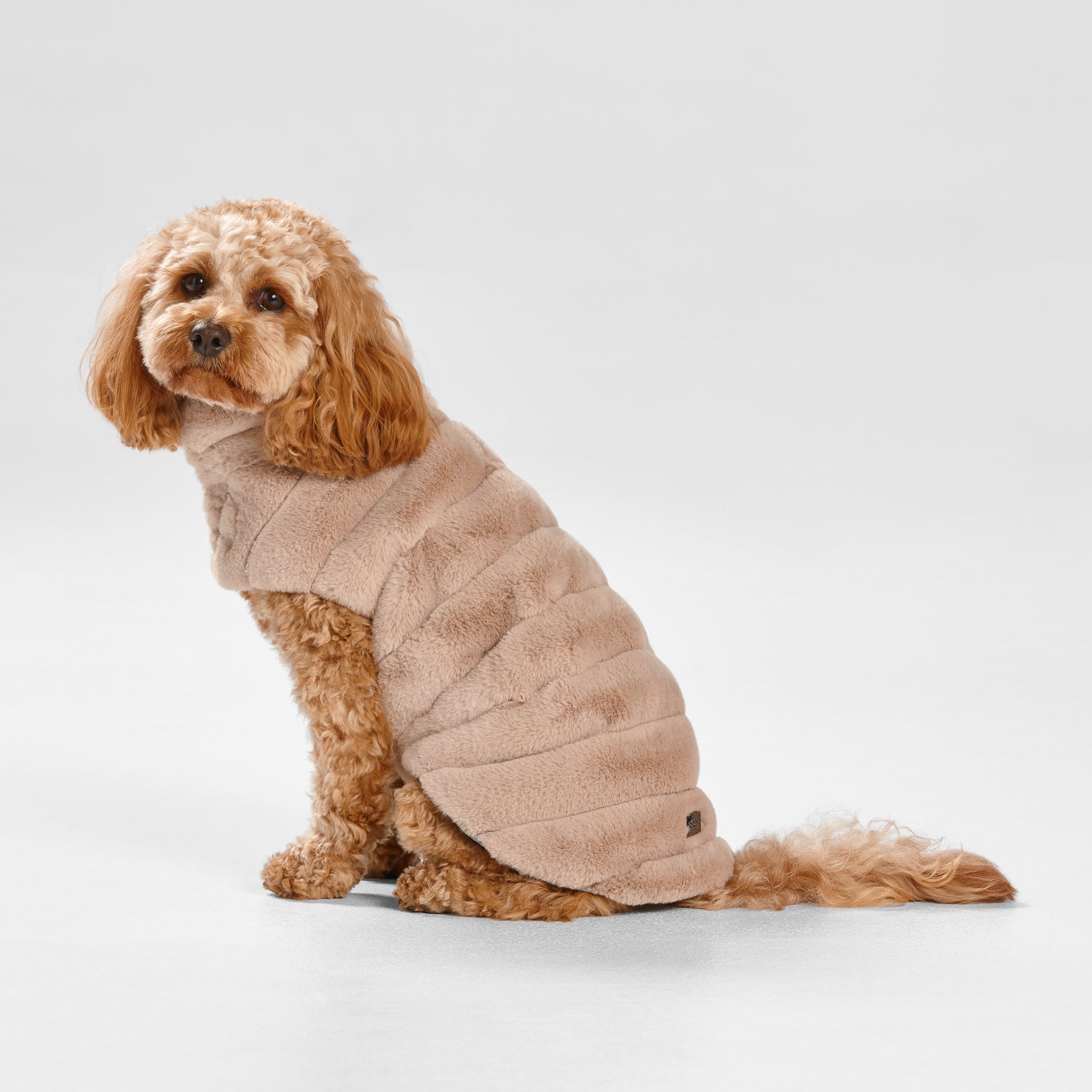 Dog Apparel & Accessories - Woofy and Whiskers
