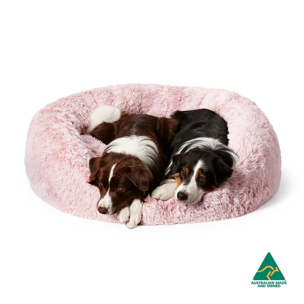 Pet Beds - Woofy and Whiskers