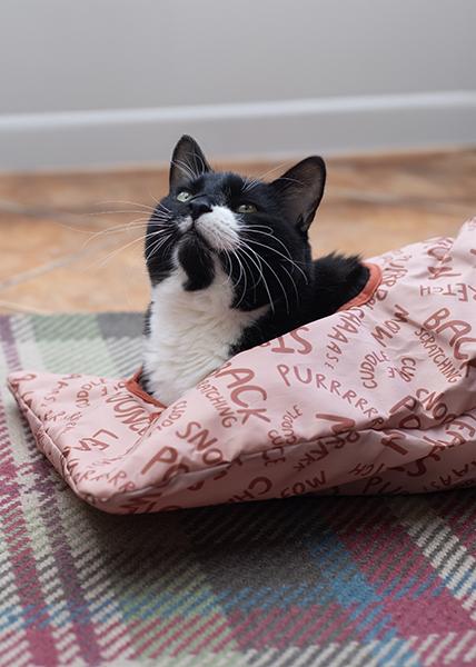 Black and white cat plays in Rosewood Battersea Peek-A-Boo Sack picture 3 photos copyright to https://rosewoodpet.com/cat/play-time/battersea/battersea-peek-a-boo-sack