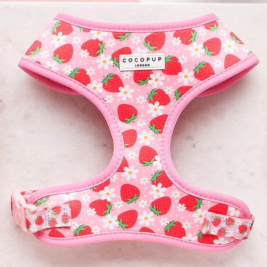 Cocopup London – Adjustable Neck Harness – Pupberry Fields Dog Harness Cocopup London Extra small (XS)