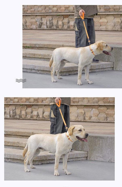 Tuff Hound Leash Dog Leash Tuff Hound