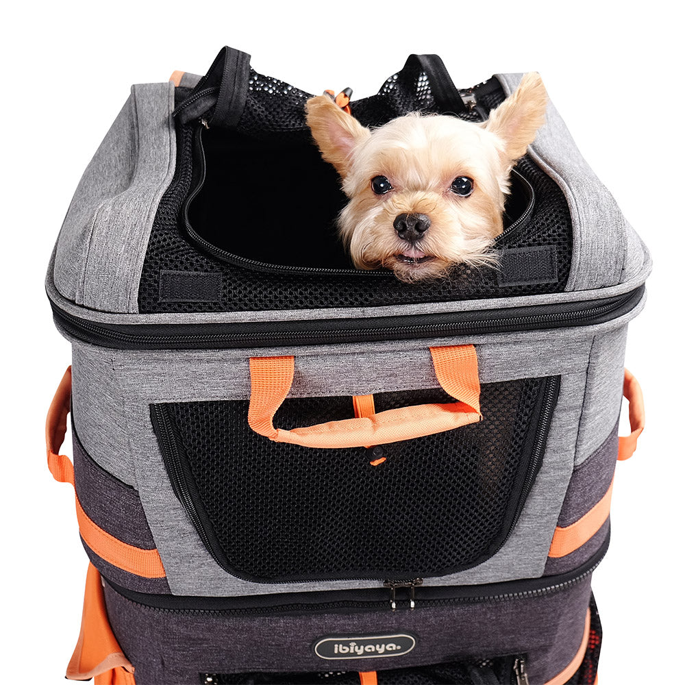 biyaya Two-tier Pet Backpack