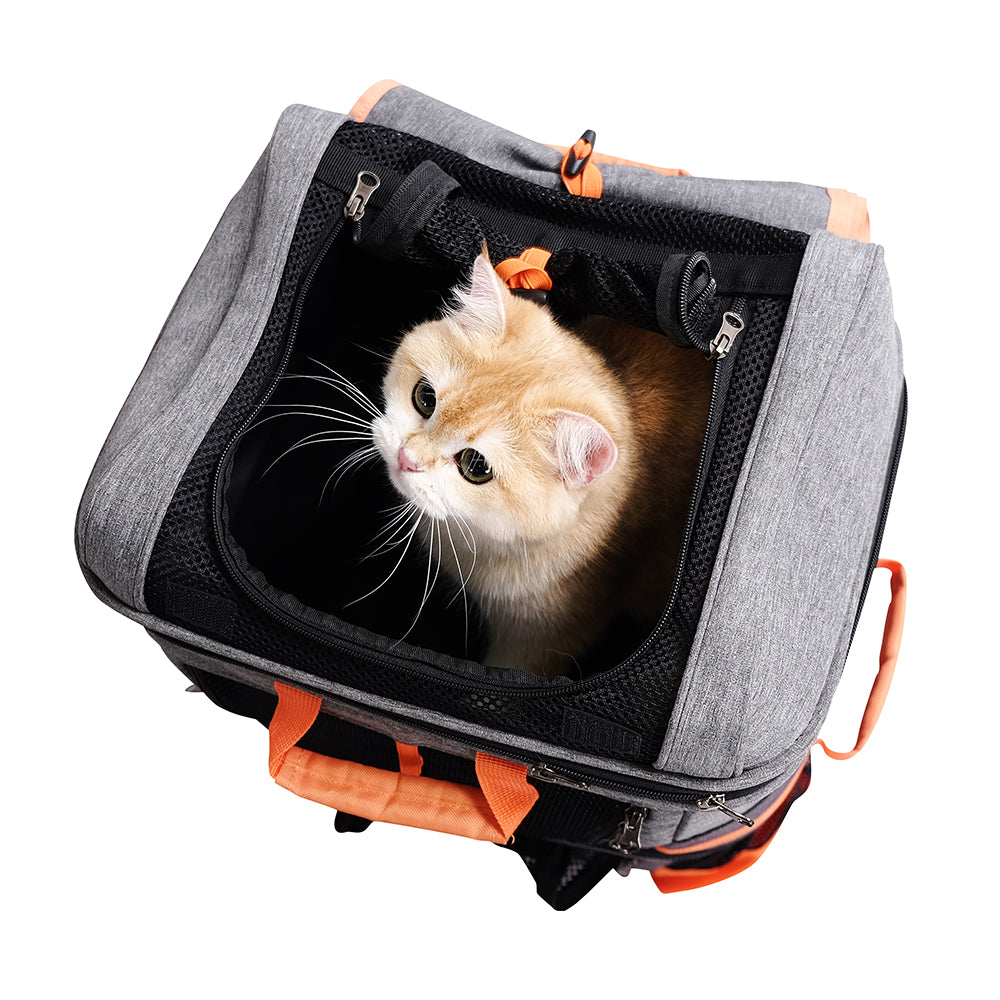 biyaya Two-tier Pet Backpack