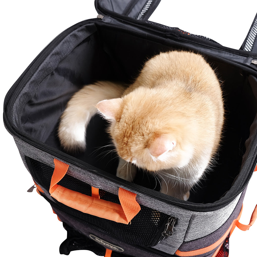 biyaya Two-tier Pet Backpack