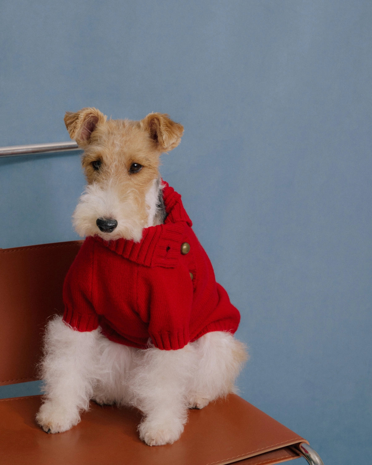 100% woolen dog jumper Merino Wool Dog Sweater with Vintage Dome Buttons Retro Red Merino wool 100% woolen dog jumper Cave Canem