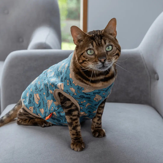 Cool Catnip: Stylish Hats, Glasses, and Cat Clothing cat clothing The furry fox