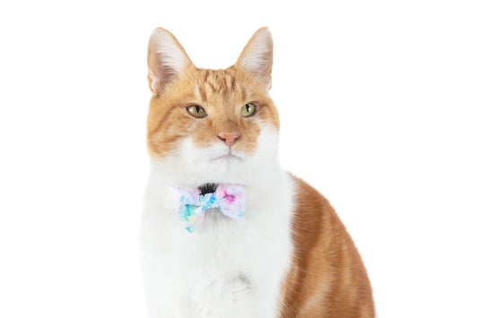 Cat Collar & Bow Tie: Cotton Candy cat collar & Bow Tie Little Kitty Co