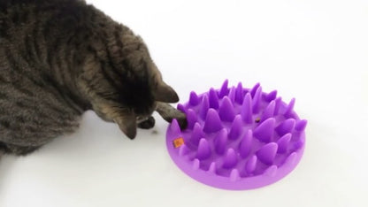 Northmate Catch Interactive Slow Food Cat Bowl interactive slow feeder for Cats northmate