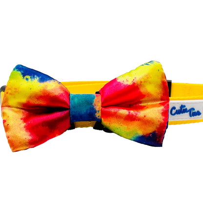 Fish Bone Red Dog Bow Tie Dog Apparel bow tie cuter Ties Rainbow