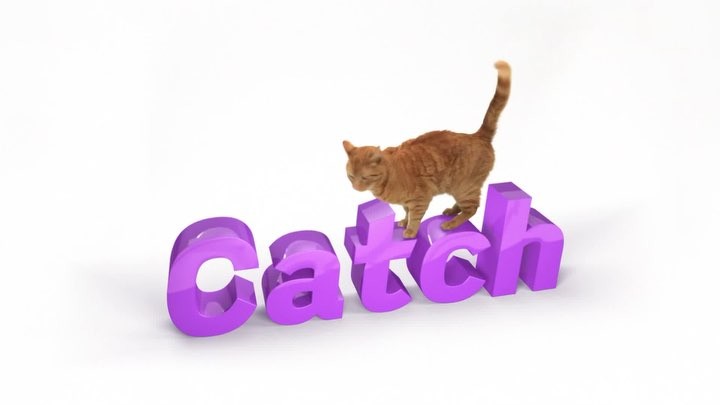 Northmate Catch Interactive Slow Food Cat Bowl interactive slow feeder for Cats northmate