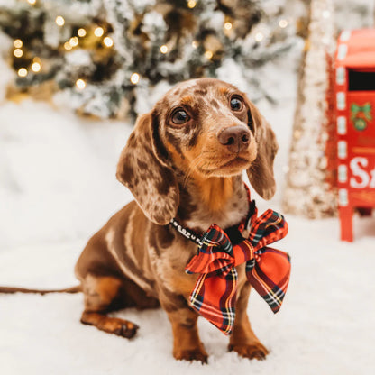 Cocopup London – Sailor Bow Tie – Tartan Dog Apparel bow tie Cocopup London