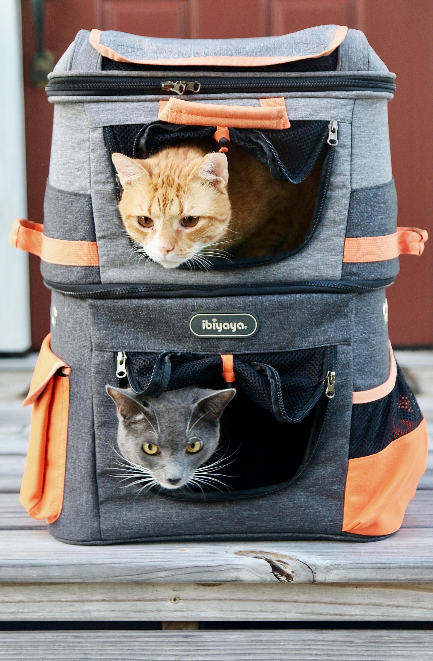 biyaya Two-tier Pet Backpack