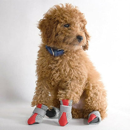 Dog boots