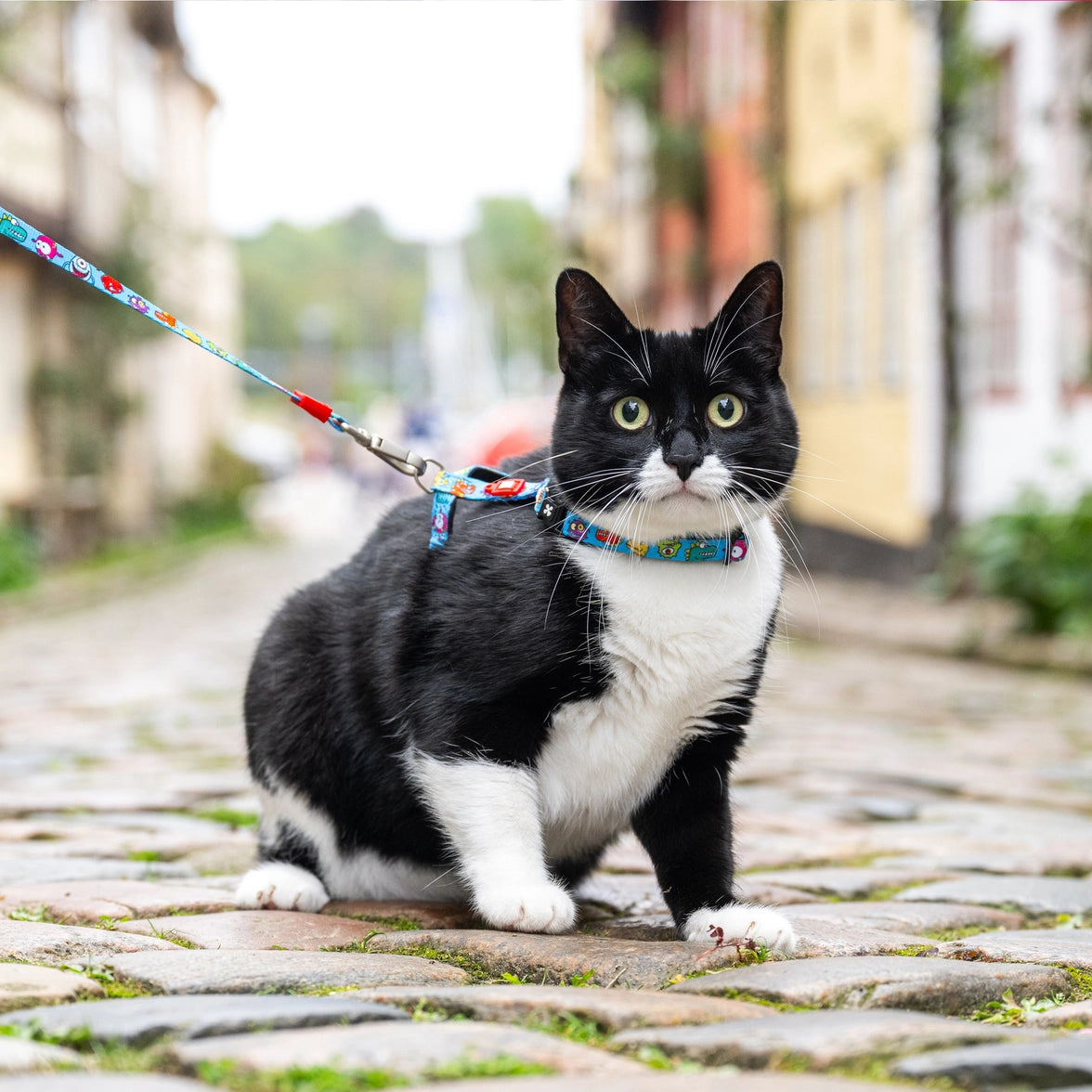 Cat Harnessleash Set - Little Monster1 Size cat harness Max & Molly Urban Pets