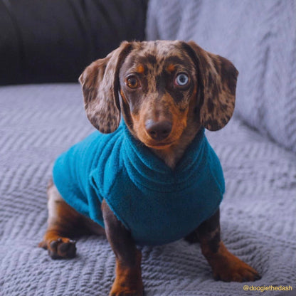 Dachshund Fleece Jumper Preorder for Winter dog jumper doghouse