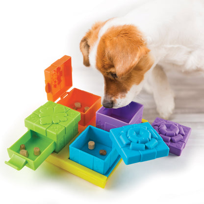 Brightkins Surprise Party! Dog Treat & Food Interactive Puzzle Toy Interactive dog puzzle Hunger for words