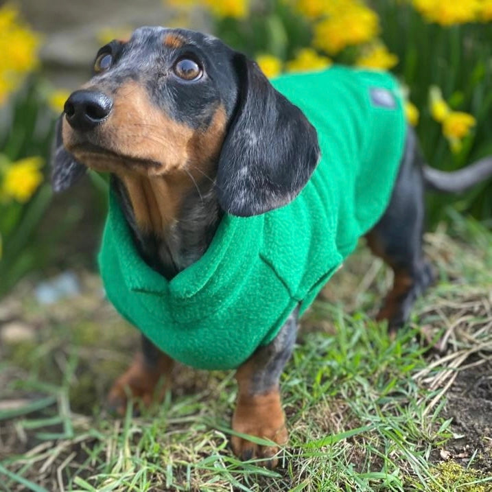 Dachshund Fleece Jumper Preorder for Winter dog jumper doghouse
