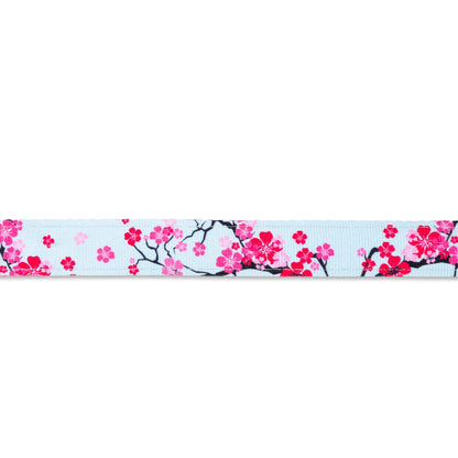max and Molly smart Id Collar Cherry Bloom Dog Collar Max and Molly
