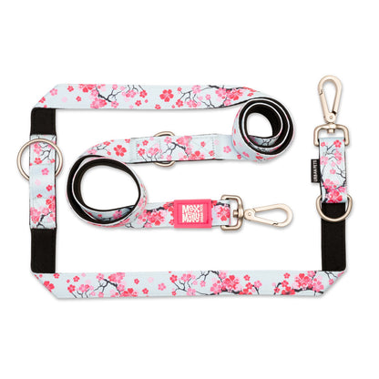 max and Molly smart Id Collar Cherry Bloom Dog Collar Max and Molly