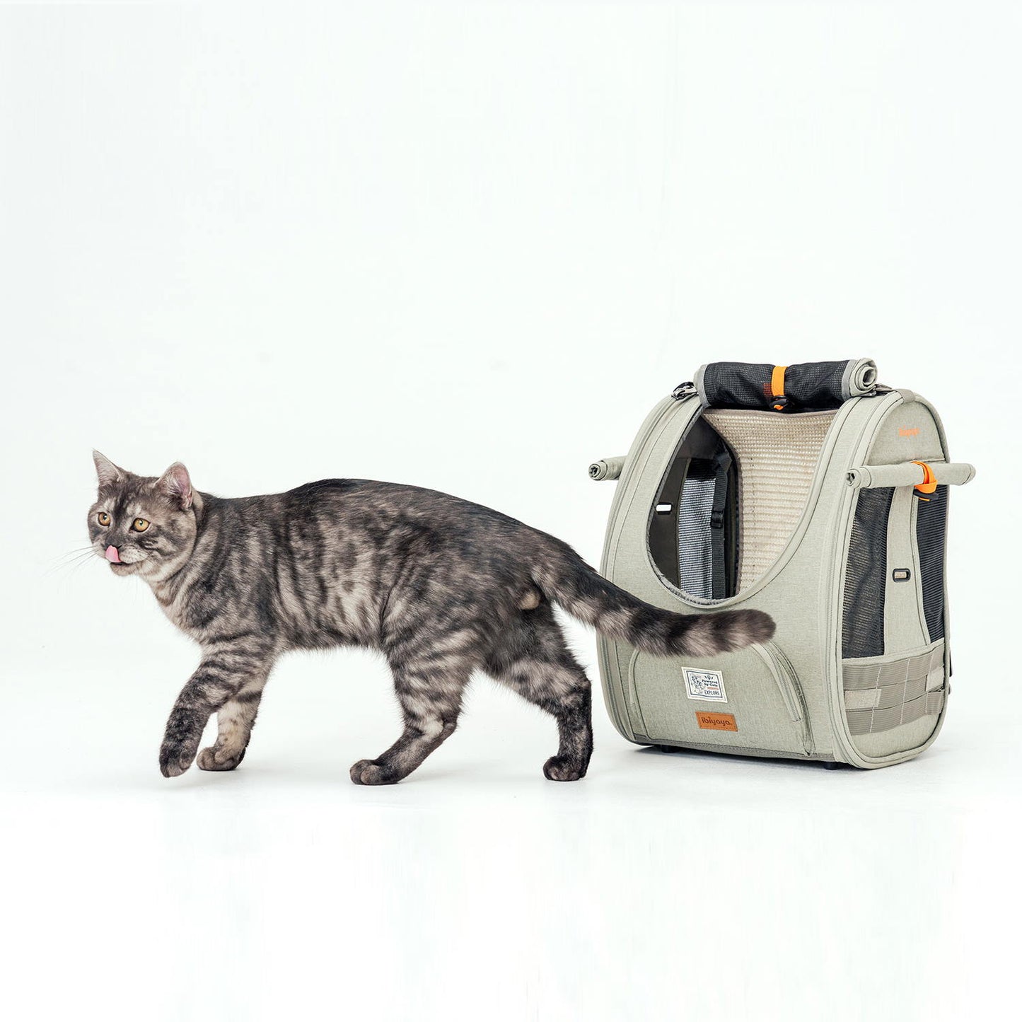 Ibiyaya Adventure Cat & Small Dog Carrier Backpack - Grey-Green