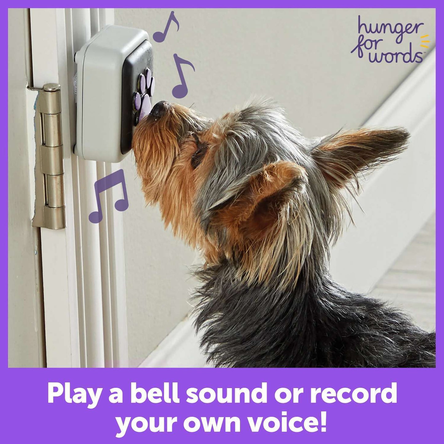 hunger-for-words-talking-pet-doorbell