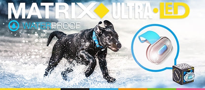 Max & Molly Matrix Ultra LED Harness/Collar Safety light Collar safety light Max & Molly Urban Pets