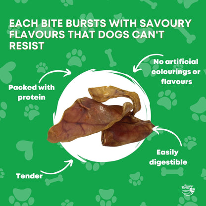 50x Dog Treat Large Pig Ears Whole - Dehydrated Australian Healthy Puppy Chew Pet Care > Pet Food > Dog Food Rooster Farm