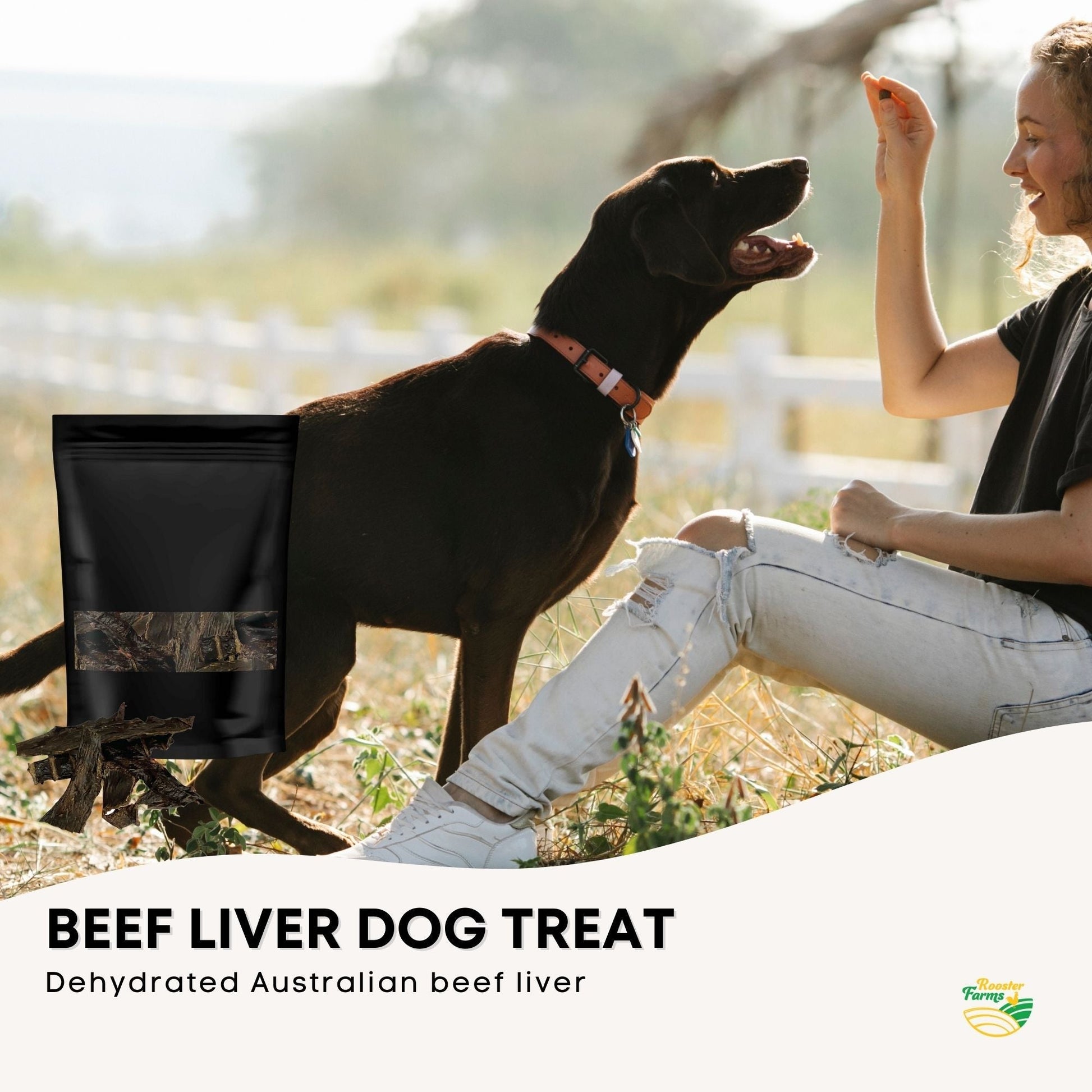 400g Dog Treat Beef Liver Pieces - Dehydrated Australian Healthy Puppy Chew Pet Care > Pet Food > Dog Food Rooster Farm