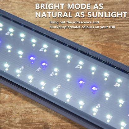 11W Aquarium Blue White LED Light for Tank 50-70cm Pet Care > Aquarium > Aquarium Lighting Dynamic Power