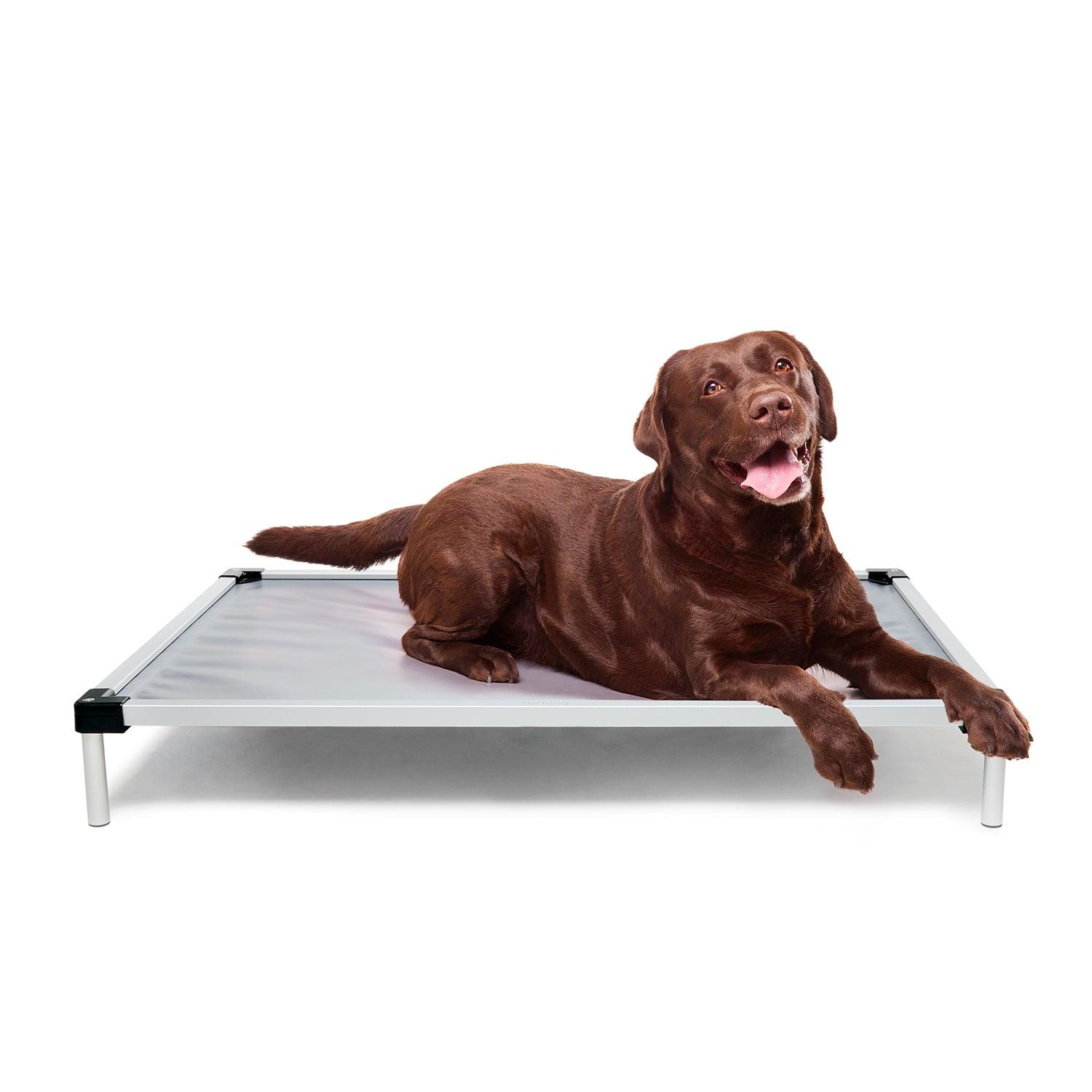 Chew Proof Dog Bed | Fur King Tough L/XL Pet Care > Dog Supplies > Dog Beds ipet