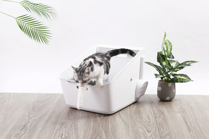 PETKIT Pura Cat Litter Box Pet Care > Cleaning & Maintenance > Pet Cleaning Supplies Woofy and Whiskers