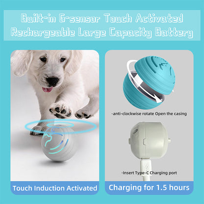 2PCS Blue Rechargeable Automatic Jumping Pet Toy Ball - Interactive Smart Play Ball for Dogs & Cats Pet Care > Toys > Dog Toys Woofy and Whiskers