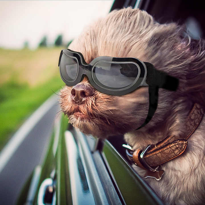 Black Lenses Pet Sunglasses for Dogs and Cats - UV Protection, Adjustable Strap, Anti-Wind and Anti-Fog Pet Goggles Pet Care > Dog Supplies > Dog Training Aids Woofy and Whiskers