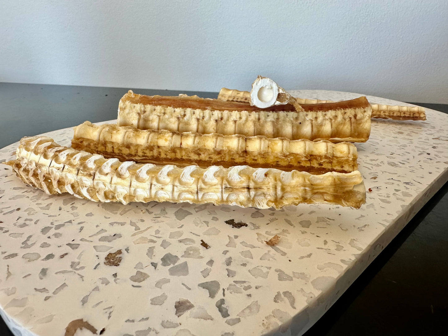 1x Just Shark Cartilage Pet Care > Pet Food > Dog Food Life in the outback