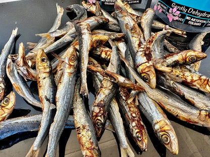 1x Just Whole Sardines Pet Care > Pet Food > Dog Food Life in the outback