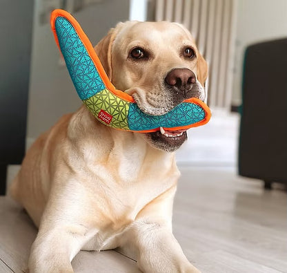 WAUDOG – Fun – Boomerang Dog toys Collar company