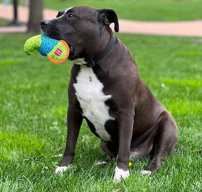 WAUDOG – Fun – Boomerang Dog toys Collar company