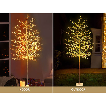 2.1M Christmas Tree 480 LED Solar Jingle Jollys Occasions > Christmas > Outdoor Decorations & Lights Woofy and Whiskers