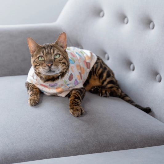 Sugary Couture: Adorable Macaroon T-Shirt For Your Kitten cat clothing The furry fox