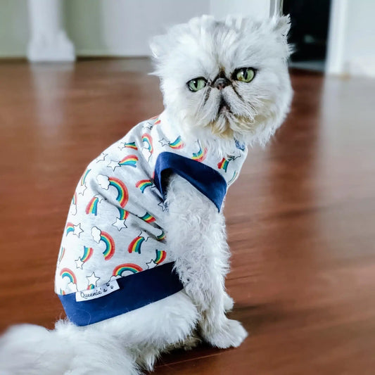 Cat Jumper - Navy Rainbow cat clothing Queenie's pawprints