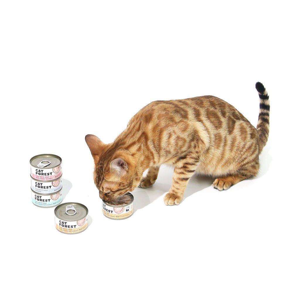 CAT FOREST Classic Tuna White Meat With Seabream In Gravy Cat Canned Food 85G X 24Woofy and Whiskers